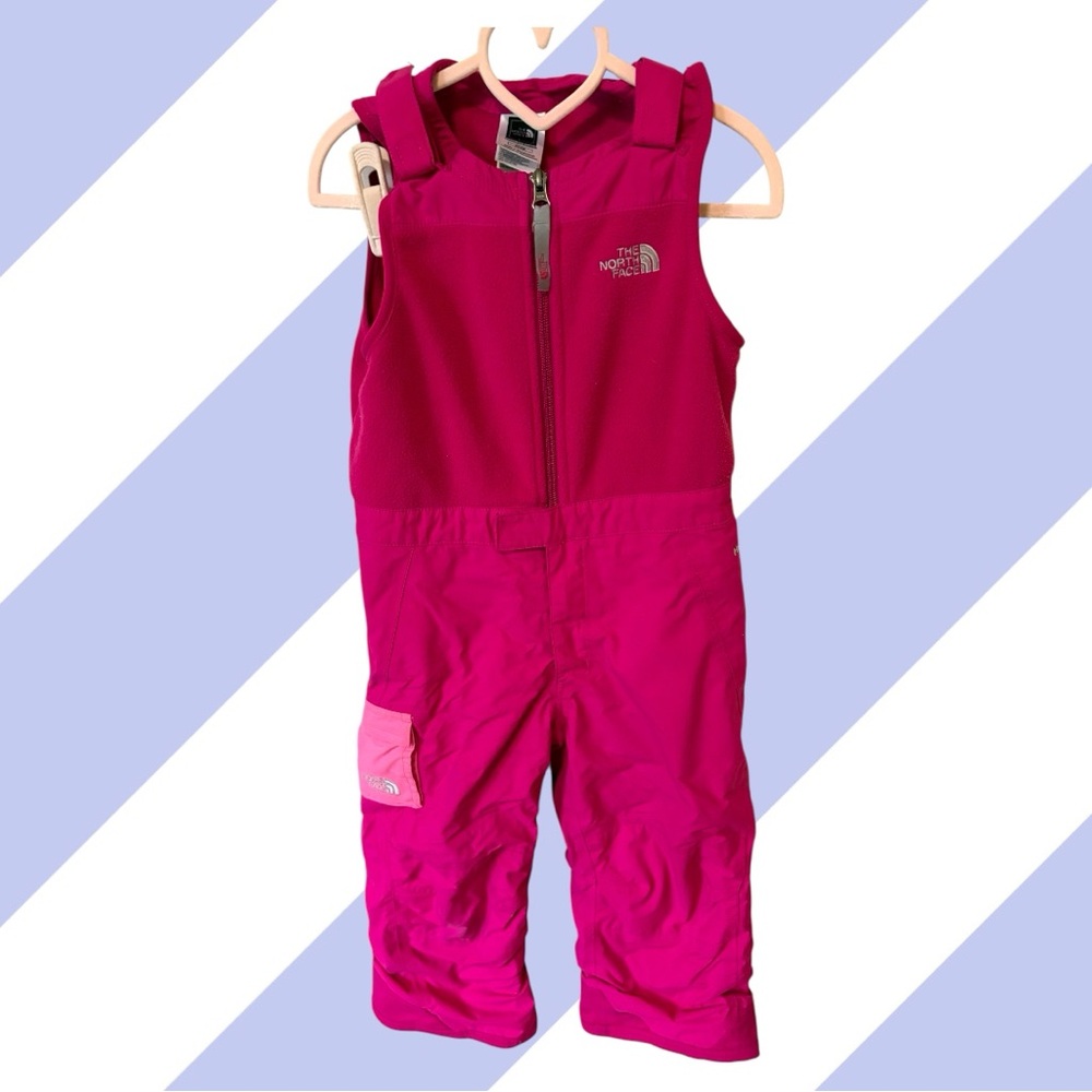 The North Face Fuchsia Snow Bib